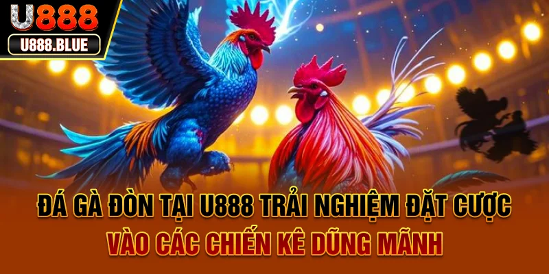 Chú ý đôi chân và vảy khi đánh giá kỹ năng khi chơi đá gà đòn tại U888 Chú ý đôi chân và vảy khi đánh giá kỹ năng khi chơi đá gà đòn tại U888