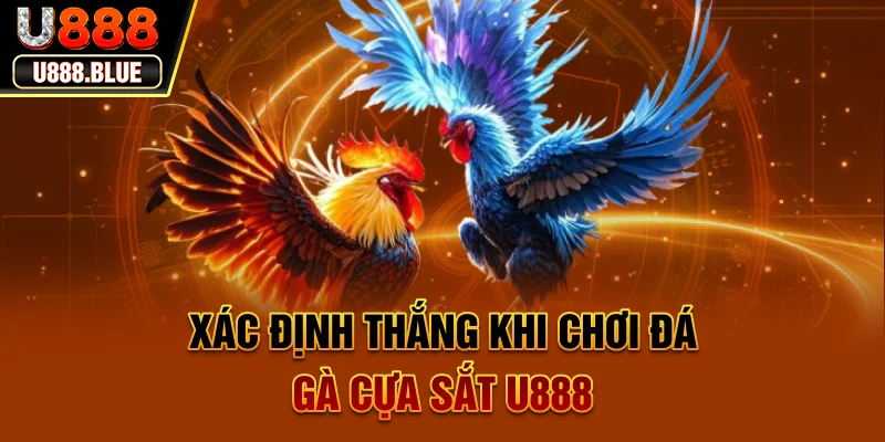 Xác định thắng khi chơi đá gà cựa sắt U888 Xác định thắng khi chơi đá gà cựa sắt U888